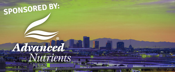 Skyline of Downtown Phoenix Arizona